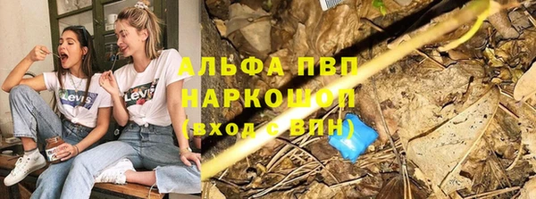 гашик Бронницы