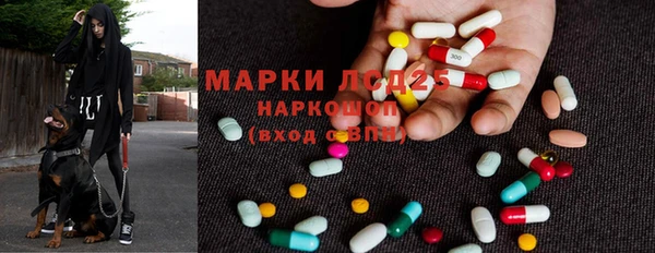 apvp Бородино