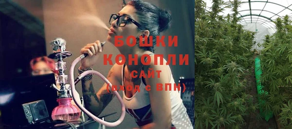 apvp Бородино