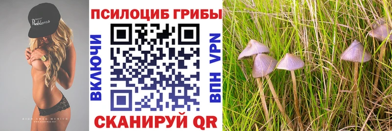 Галлюциногенные грибы прущие грибы  Горячий Ключ 